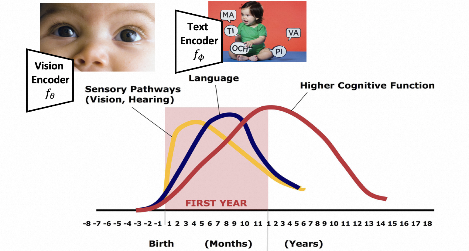 Biological Infant