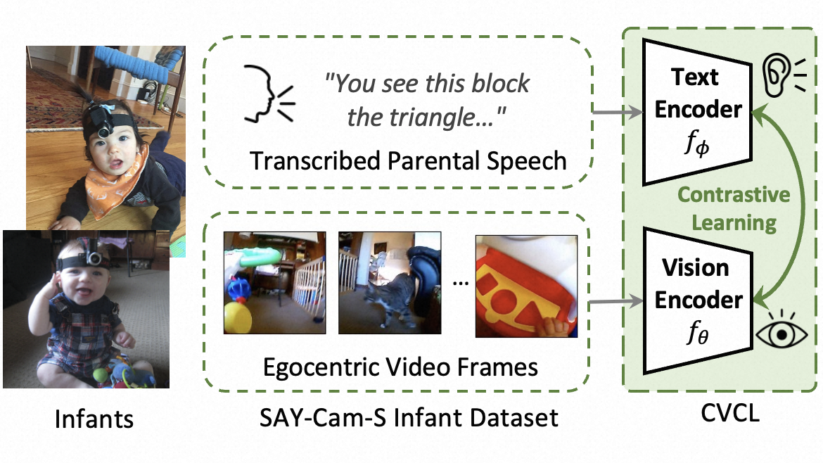 Computational Model